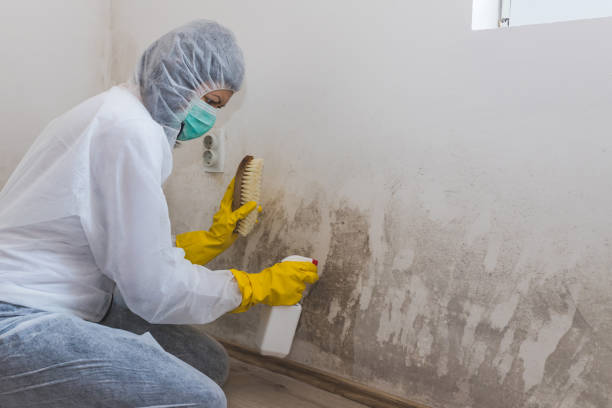 Forensic Mold Investigation in Vega, TX